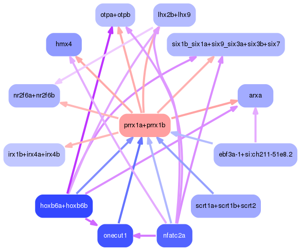 PNG image of the network