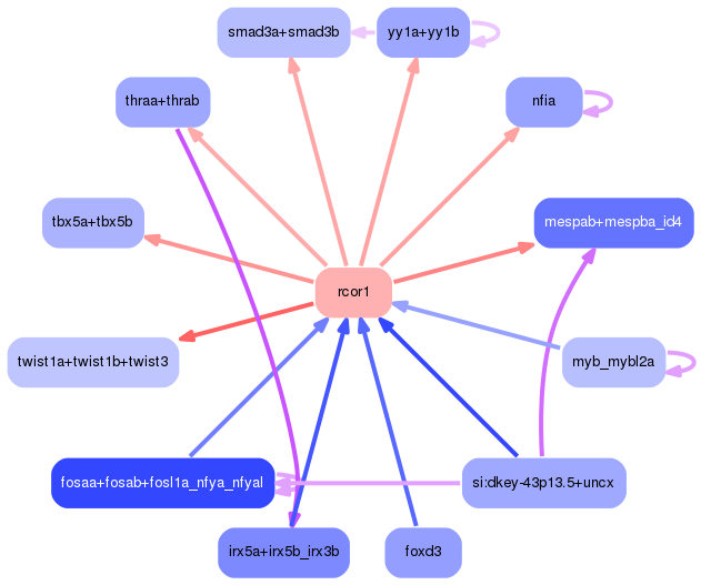 PNG image of the network