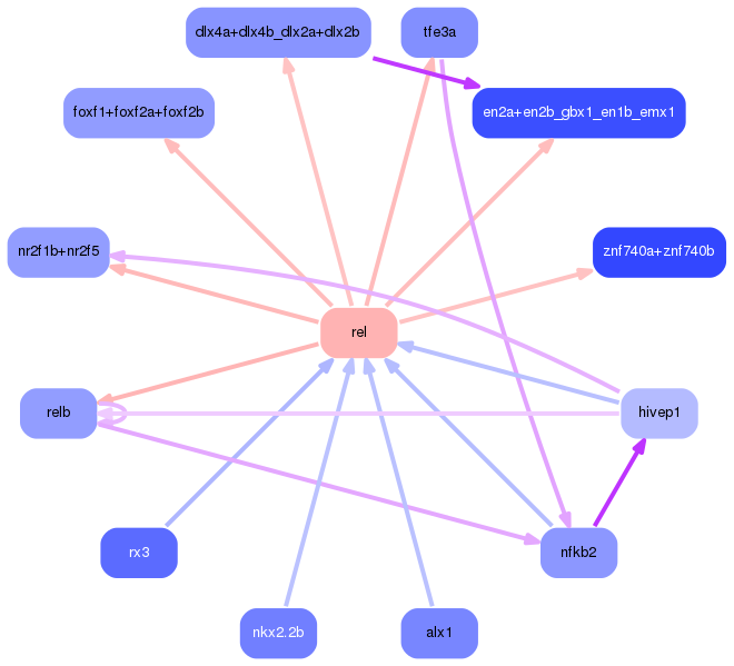 PNG image of the network