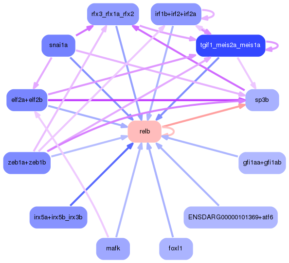PNG image of the network