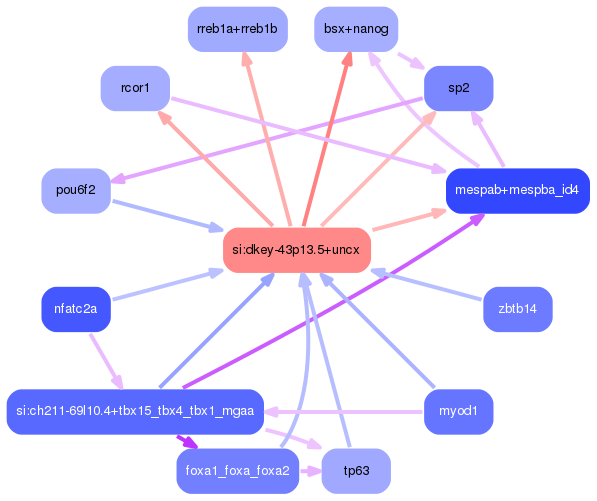 PNG image of the network
