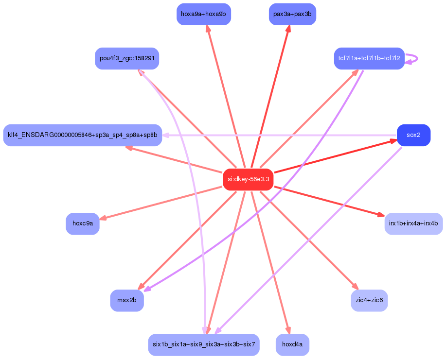 PNG image of the network