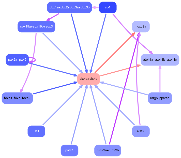 PNG image of the network
