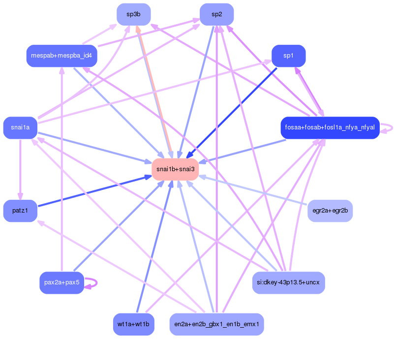 PNG image of the network
