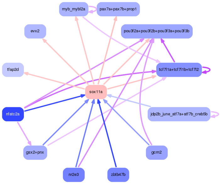 PNG image of the network