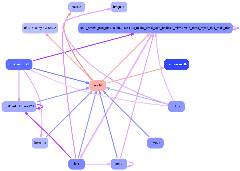 PNG image of the network