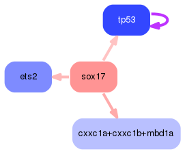 PNG image of the network