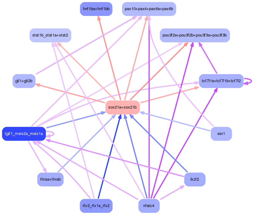 PNG image of the network