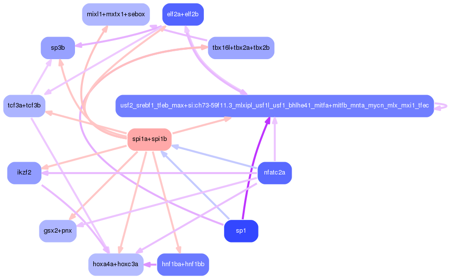 PNG image of the network