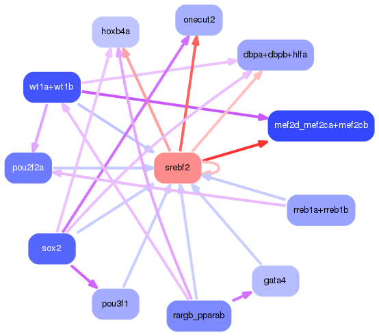 PNG image of the network