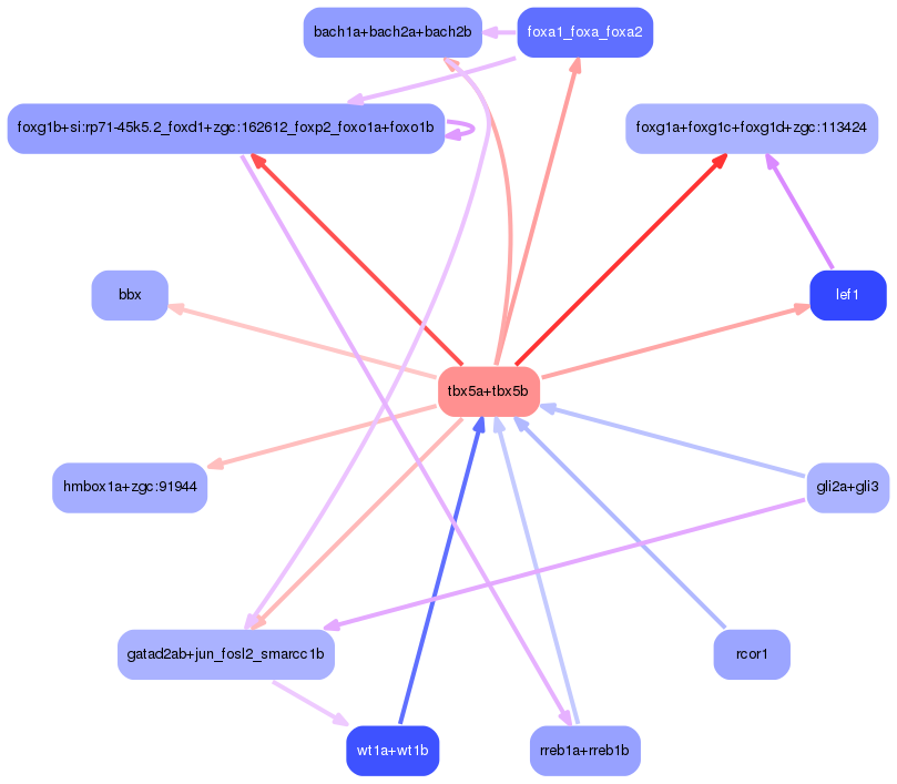 PNG image of the network