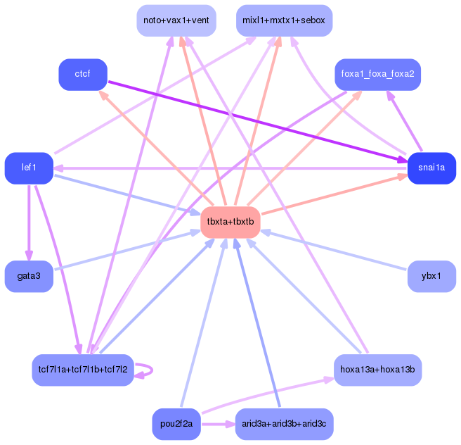 PNG image of the network