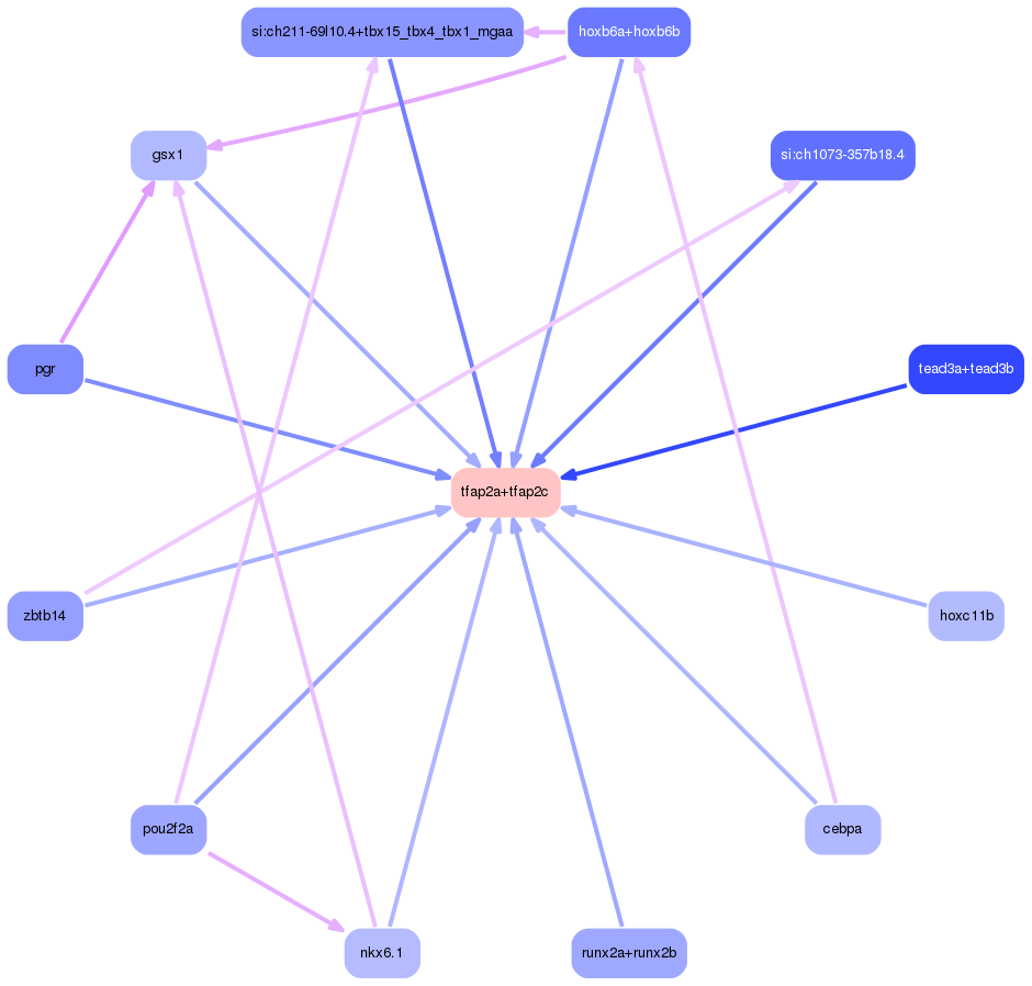 PNG image of the network