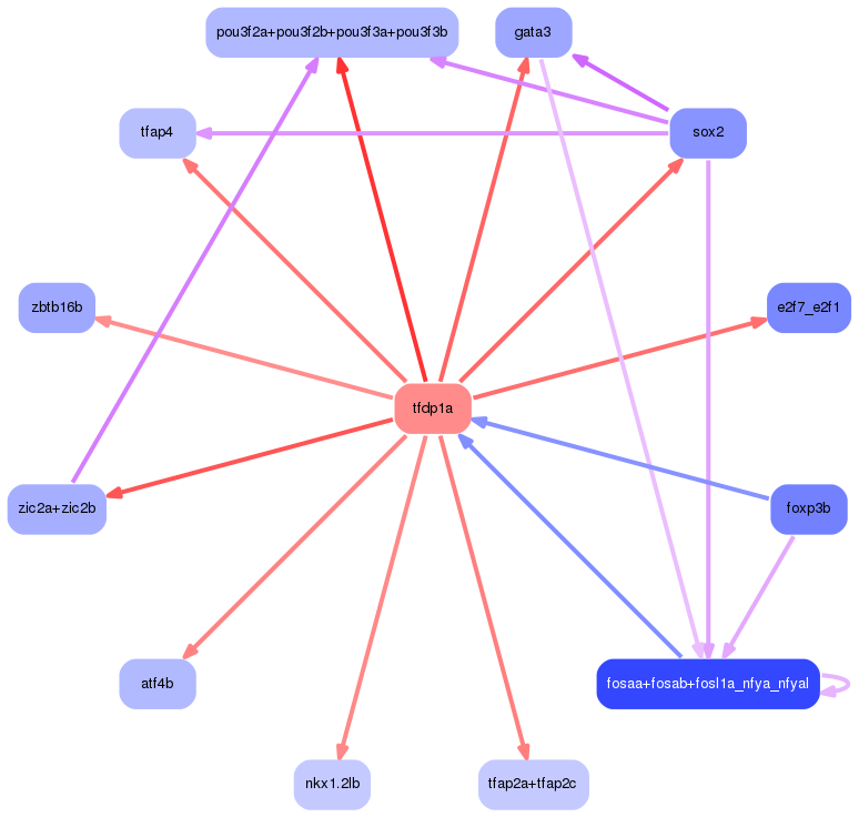 PNG image of the network