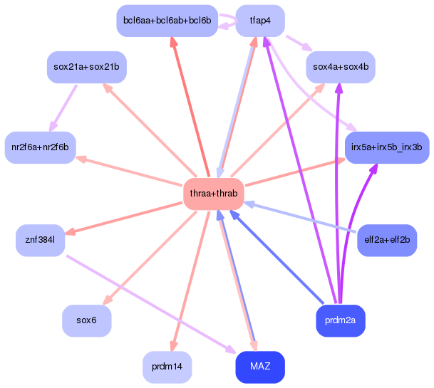 PNG image of the network