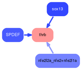 PNG image of the network