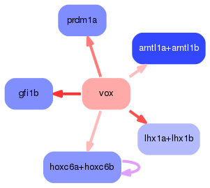 PNG image of the network