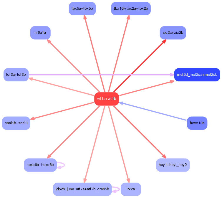 PNG image of the network
