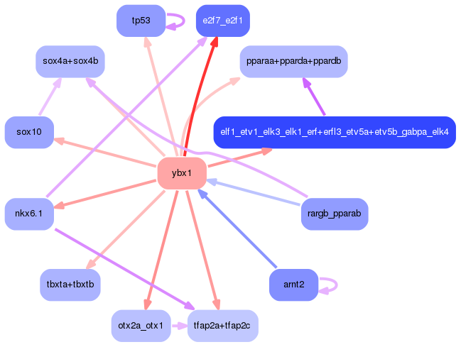 PNG image of the network