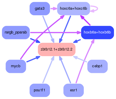 PNG image of the network