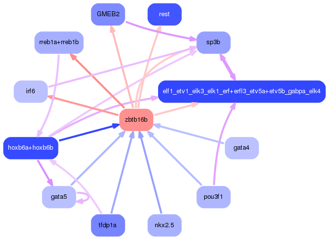 PNG image of the network