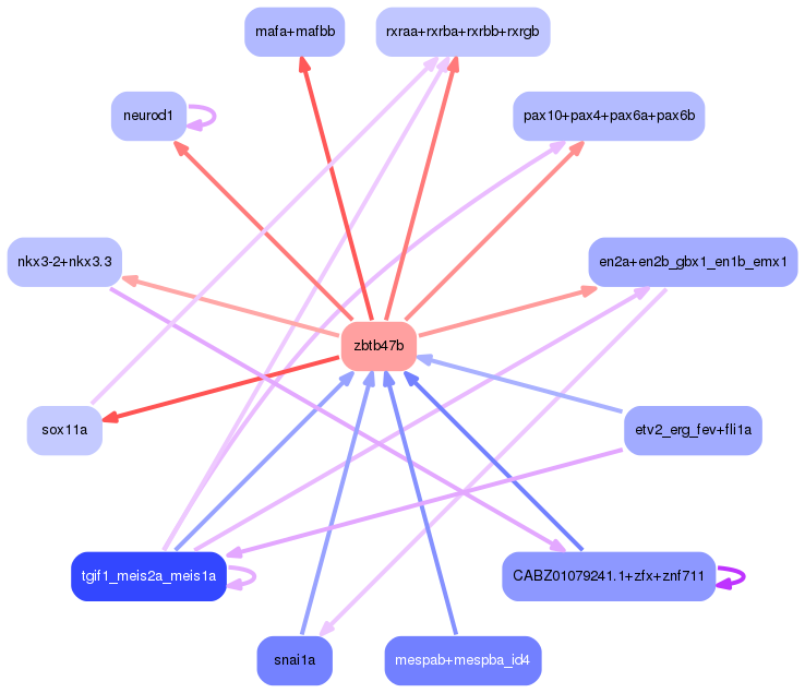 PNG image of the network
