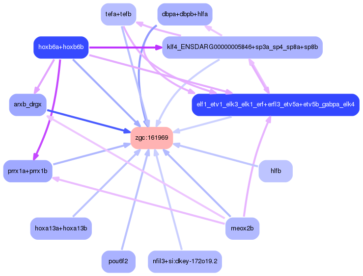 PNG image of the network