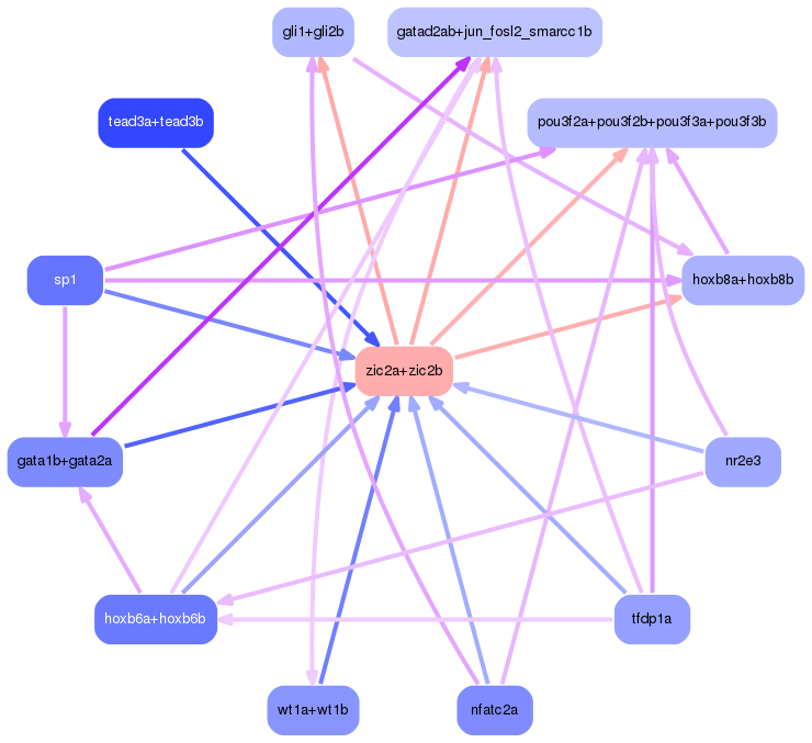 PNG image of the network