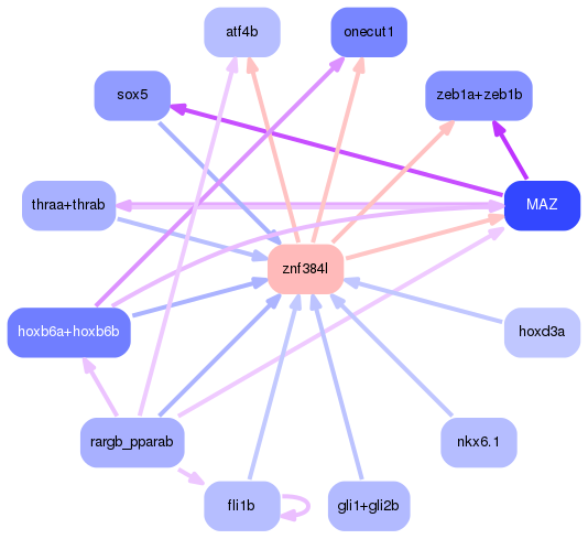 PNG image of the network