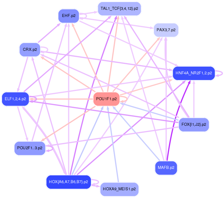 PNG image of the network