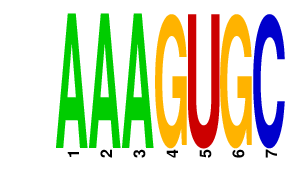 logo of AAAGUGC