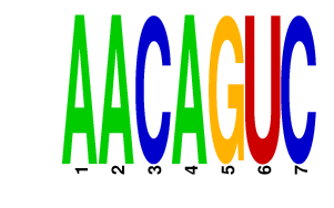 logo of AACAGUC