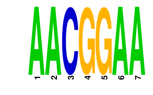 logo of AACGGAA