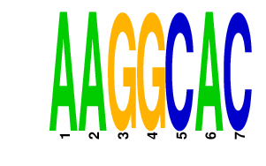 logo of AAGGCAC