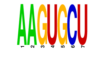 logo of AAGUGCU