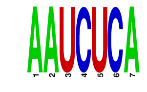 logo of AAUCUCA