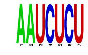 logo of AAUCUCU