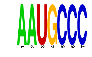 logo of AAUGCCC