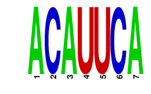 logo of ACAUUCA