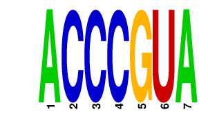 logo of ACCCGUA