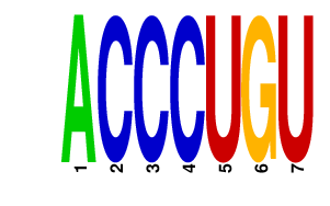 logo of ACCCUGU