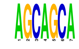 logo of AGCAGCA