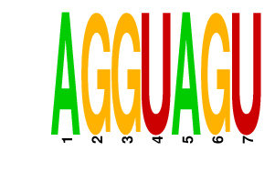 logo of AGGUAGU