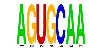 logo of AGUGCAA