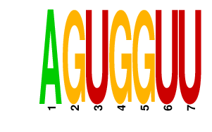 logo of AGUGGUU