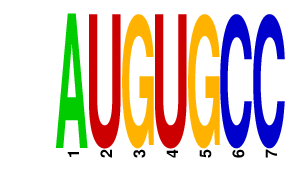 logo of AUGUGCC