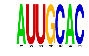 logo of AUUGCAC