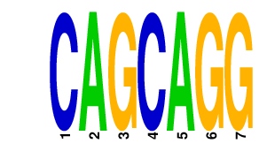logo of CAGCAGG