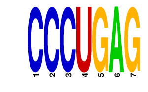 logo of CCCUGAG