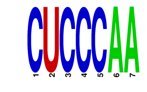 logo of CUCCCAA
